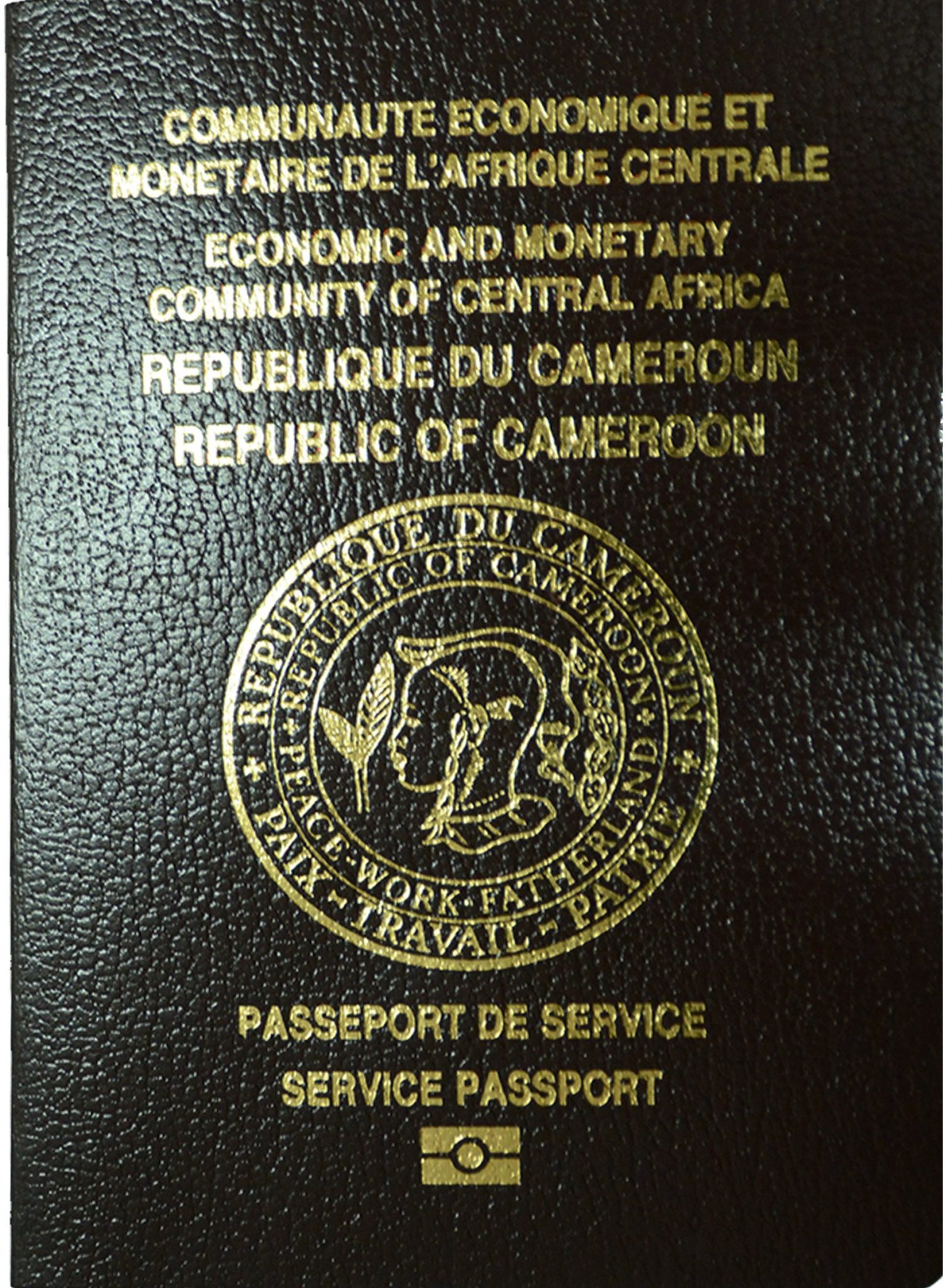 Passeports  Police Camerounaise