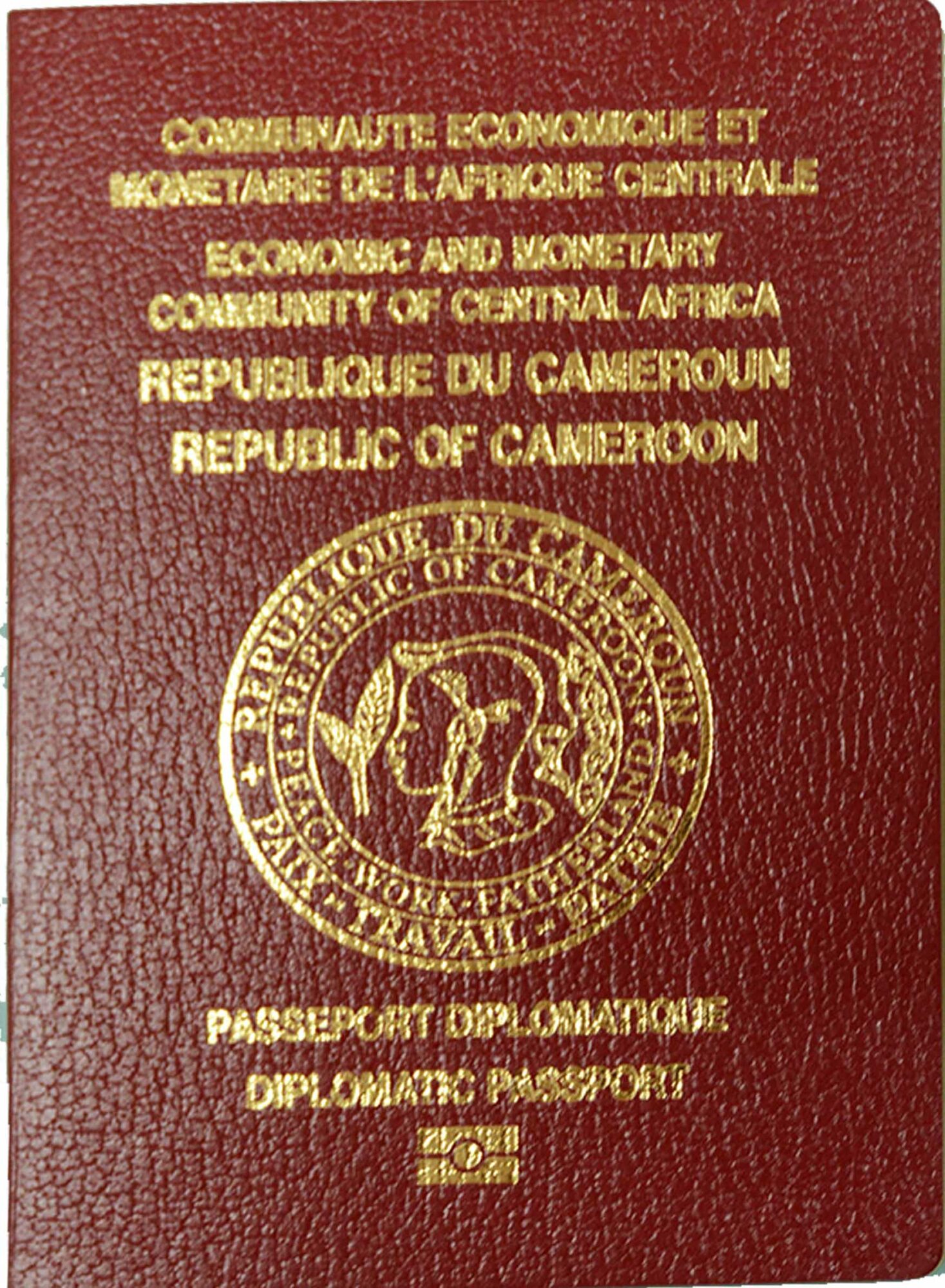 Passeports  Police Camerounaise