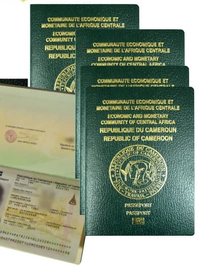 Lire la suite à propos de l’article Production des passeports
